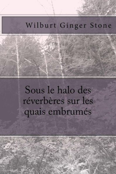 Sous Le Halo Des Reverberes Sur Les Quais Embrumes