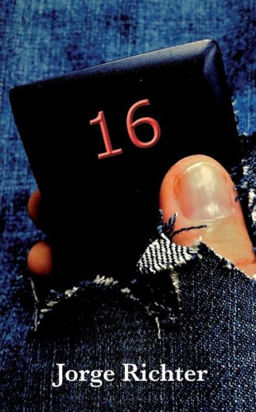 16 (Spanish Edition)