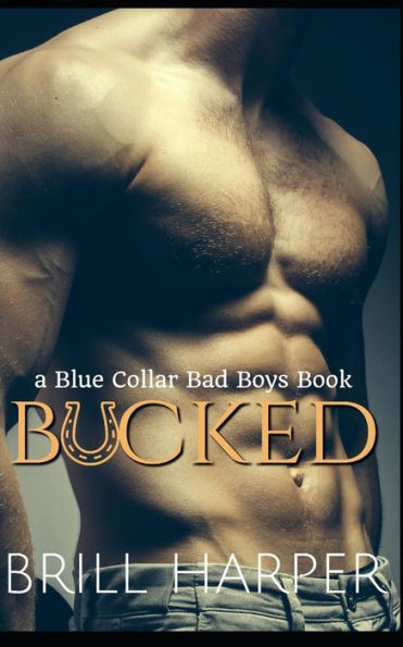 Bucked: Un libro de chicos malos de cuello azul