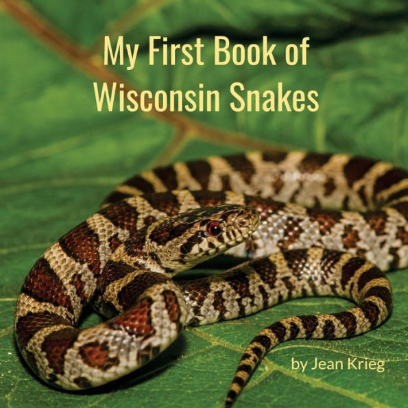 My First Book Of Wisconsin Snakes