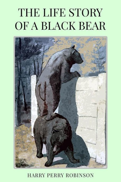 The Life Story Of A Black Bear