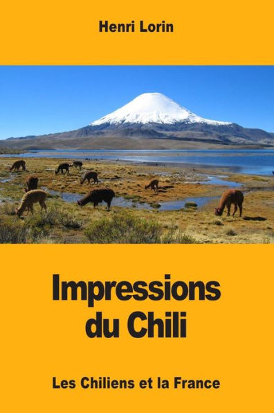 Impressions du Chili: Les Chiliens et la France (French Edition)