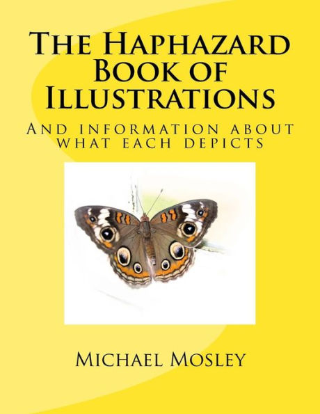 The Haphazard Book Of Illustrations : And Information About What Each Depicts