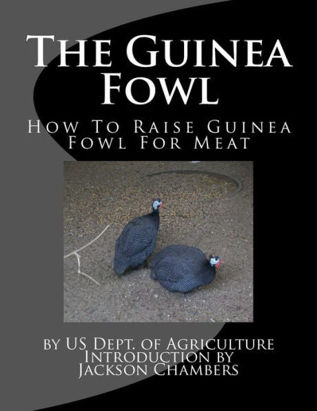 The Guinea Fowl : How To Raise Guinea Fowl For Meat