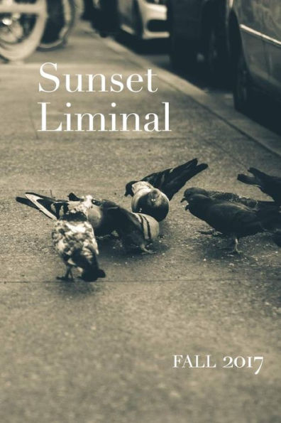 Sunset Liminal Vol. 5 : Fall 2017
