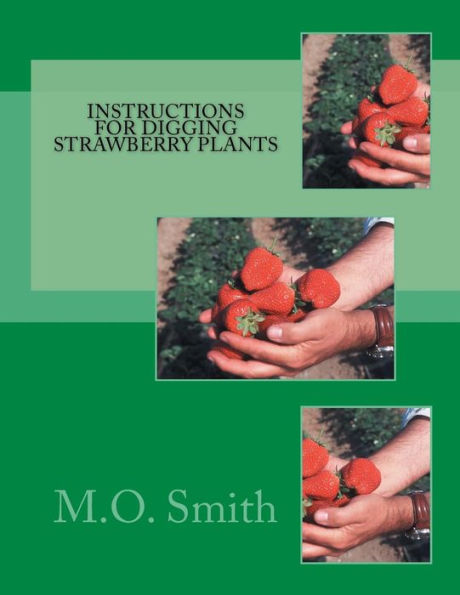 Instructions For Digging Strawberry Plants