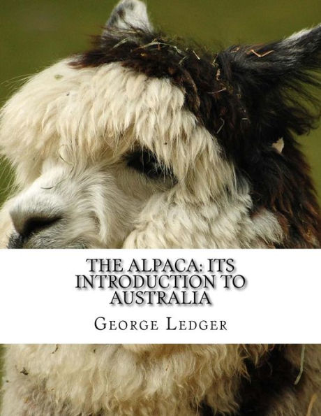 The Alpaca : Its Introduction To Australia