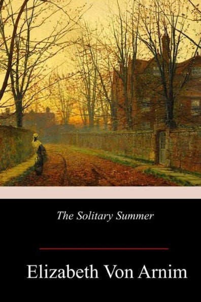 The Solitary Summer - 9781978275768