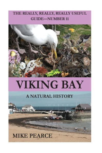 Viking Bay : A Natural History