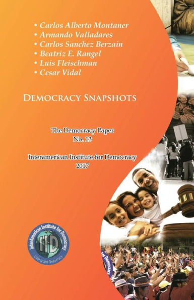 Democracy Snapshots: The Democracy Paper No. 13