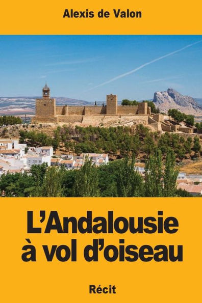 L’Andalousie à vol d’oiseau (French Edition)