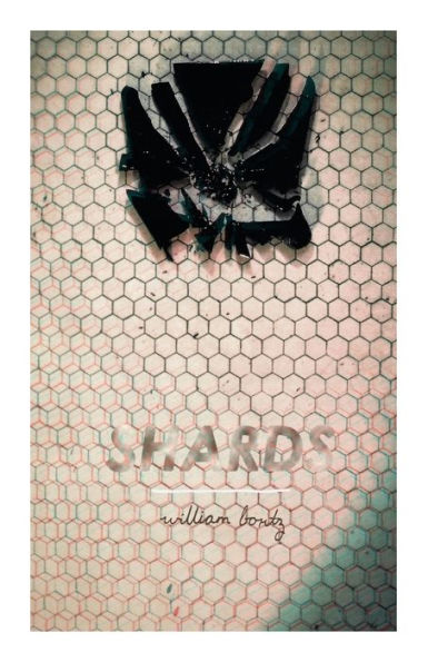Shards - 9781979203371