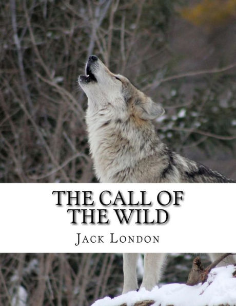 The Call Of The Wild - 9781979241939