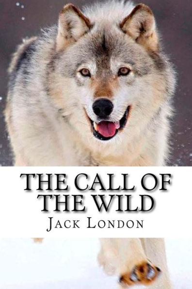 The Call Of The Wild - 9781979294119