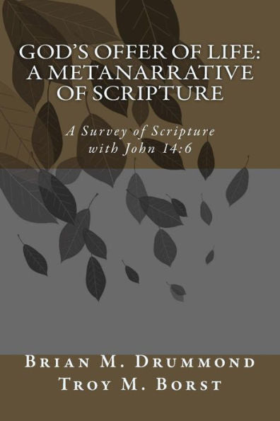 God's Offer of Life: A Metanarrative of Scripture: A Survey of Scripture with John 14:6