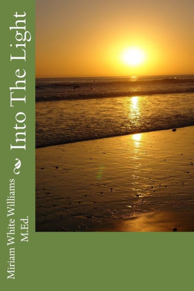 Into The Light - 9781979411592