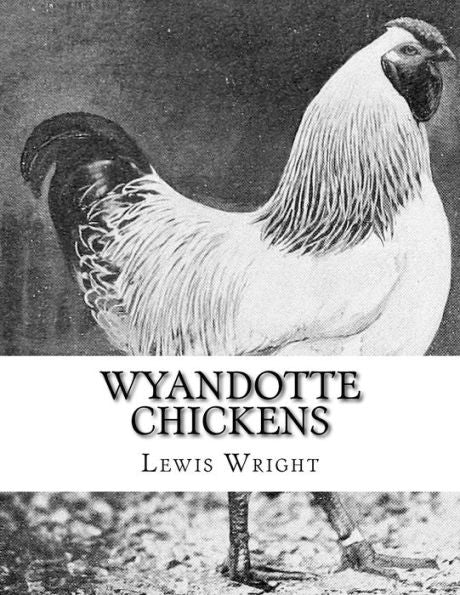 Wyandotte Chickens : From The Book Of Poultry