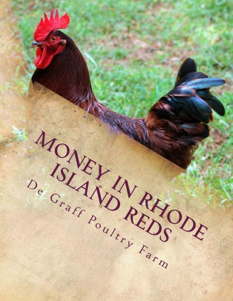 Money In Rhode Island Reds