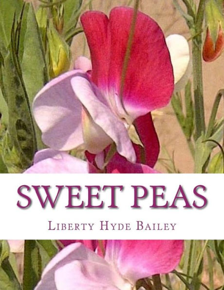 Sweet Peas - 9781979454537