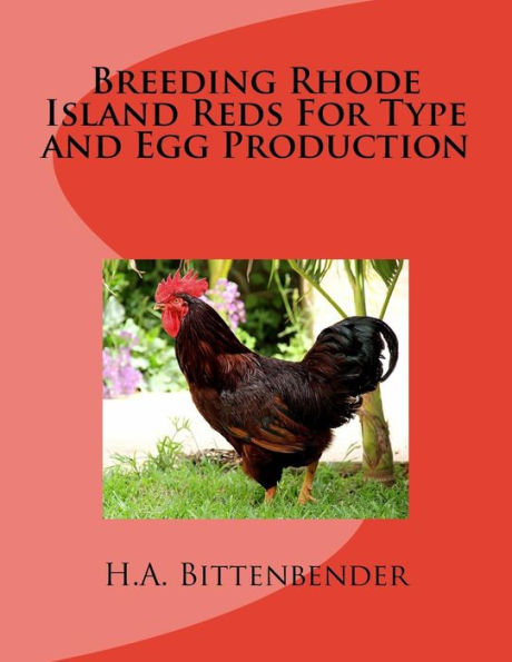 Breeding Rhode Island Reds For Type and Egg Production