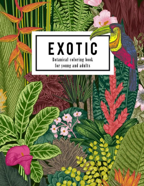 Exotic botanical coloring book for young and adults : Beautiful hand drawn of nature paradise included tropical plants, flowers, and birds: Large ... books for line drawing illustration lover