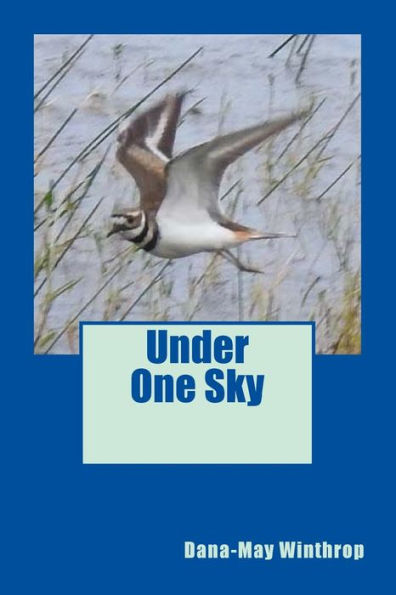 Under One Sky - 9781979822305
