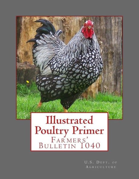 Illustrated Poultry Primer: Farmers' Bulletin 1040