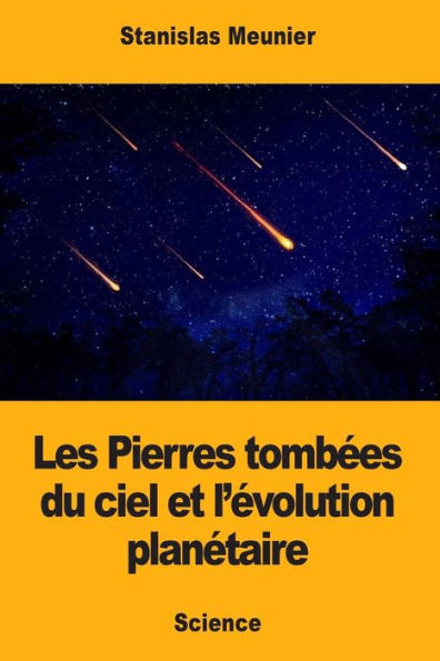 Les Pierres Tombes Du Ciel Et Lvolution Plantaire