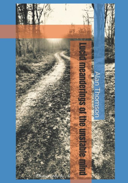 Lucid Meanderings Of The Unstable Mind