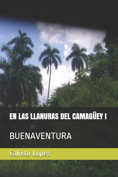 EN LAS LLANURAS DEL CAMAG?EY I: BUENAVENTURA (Spanish Edition)