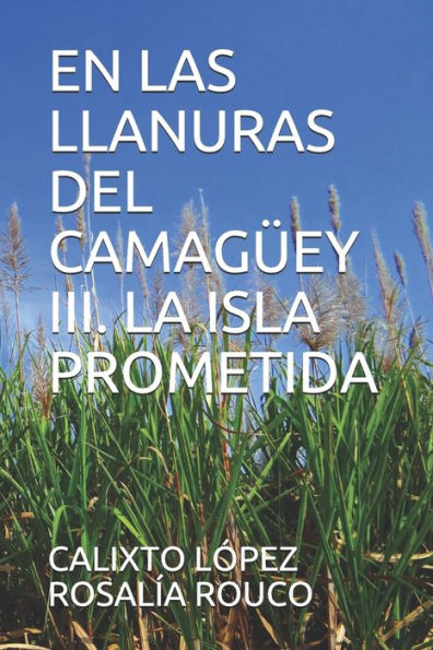 EN LAS LLANURAS DEL CAMAGÜEY III. LA ISLA PROMETIDA (Spanish Edition)