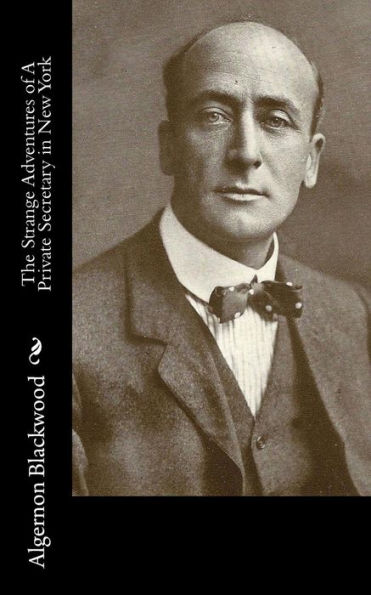 The Strange Adventures Of A Private Secretary In New York