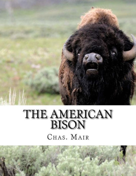 The American Bison : Its Habits, Method Of Capture And Economic Use In The North West