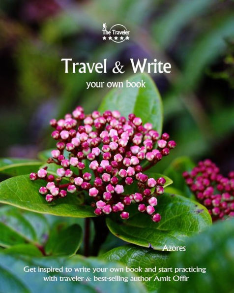 Travel And Write Your Own Book - Azores : Get Inspired To Write Your Own Book And Start Practicing With Traveler And Best-Selling Author Amit Offir - 9781981448371