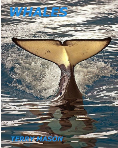 Whales : Whale Facts For Kids, Whales Gentle Giants Of The Sea