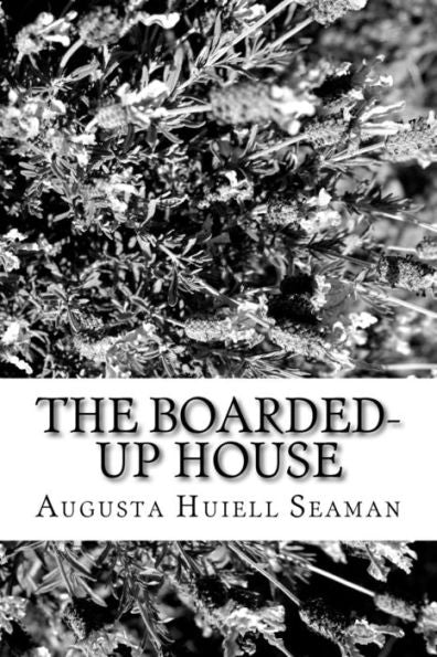 The Boarded-Up House - 9781982085254