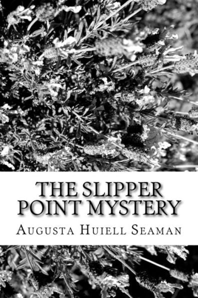 The Slipper Point Mystery