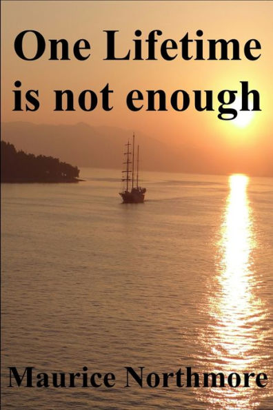 One Lifetime Is Not Enough - 9781982965808