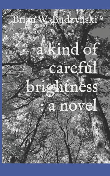 A Kind of Careful Brightness : a novel