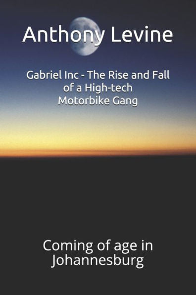 Gabriel Inc - The Rise and Fall of a High-tech Motorbike Gang: Coming of age in Johannesburg
