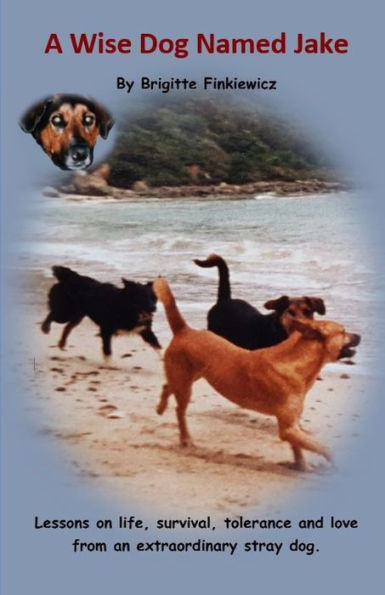 A Wise Dog Named Jake: Lessons on life, survival, tolerance and love from an extraordinary stray dog - 9781983142239