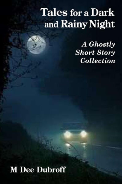 Tales For A Dark And Rainy Night : A Short Story Collection