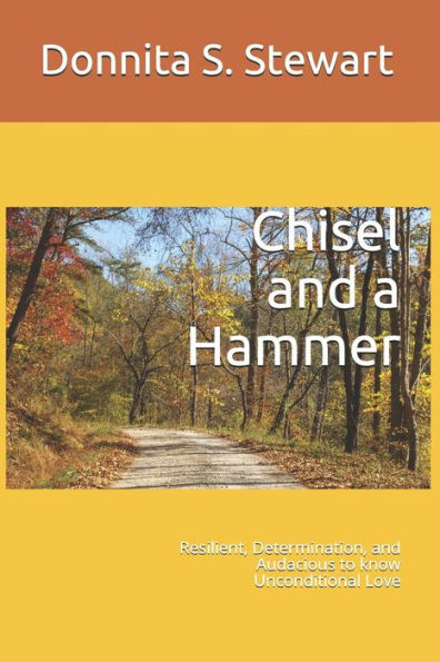 Chisel and a Hammer: Resilient, Determination, and Audacious to know Unconditional Love (From the Beginning)