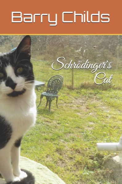 Schr?dinger's Cat