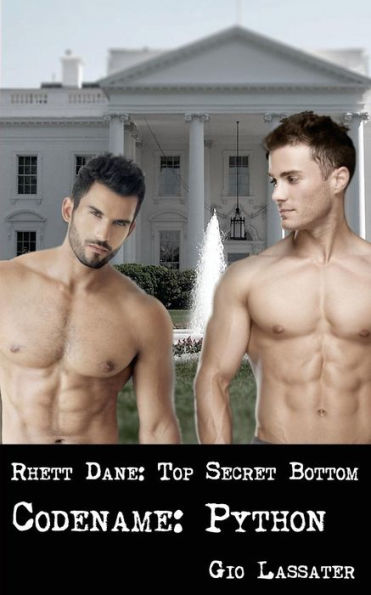 Rhett Dane: Top Secret Bottom : Codename: Python