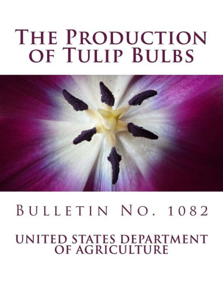 The Production Of Tulip Bulbs : Bulletin No. 1082