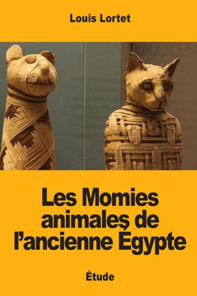 Les Momies Animales De Lancienne Gypte