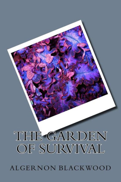The Garden Of Survival - 9781983596728