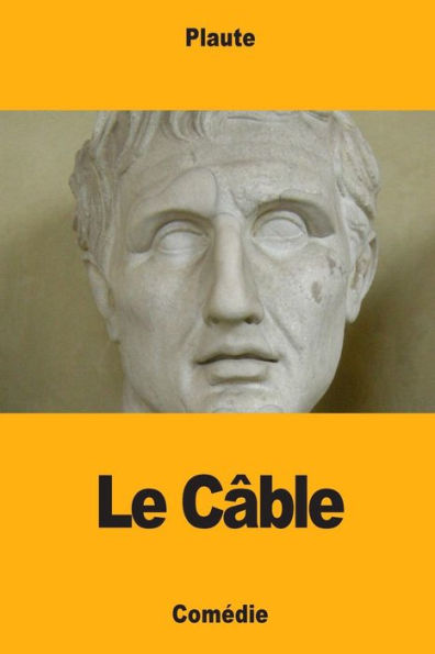 Le Câble (French Edition)