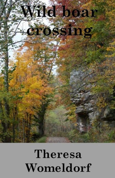Wild Boar Crossing : Christian Romance Novel